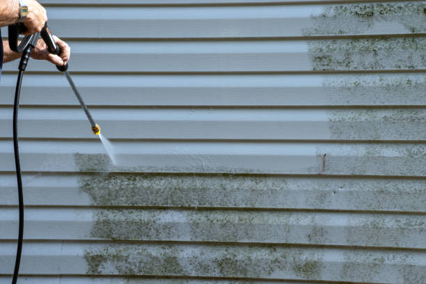 Best Custom Siding Design  in Oradell, NJ
