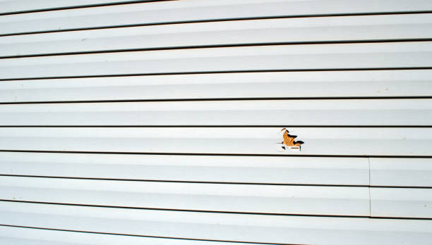James Hardie Siding in Oradell, NJ